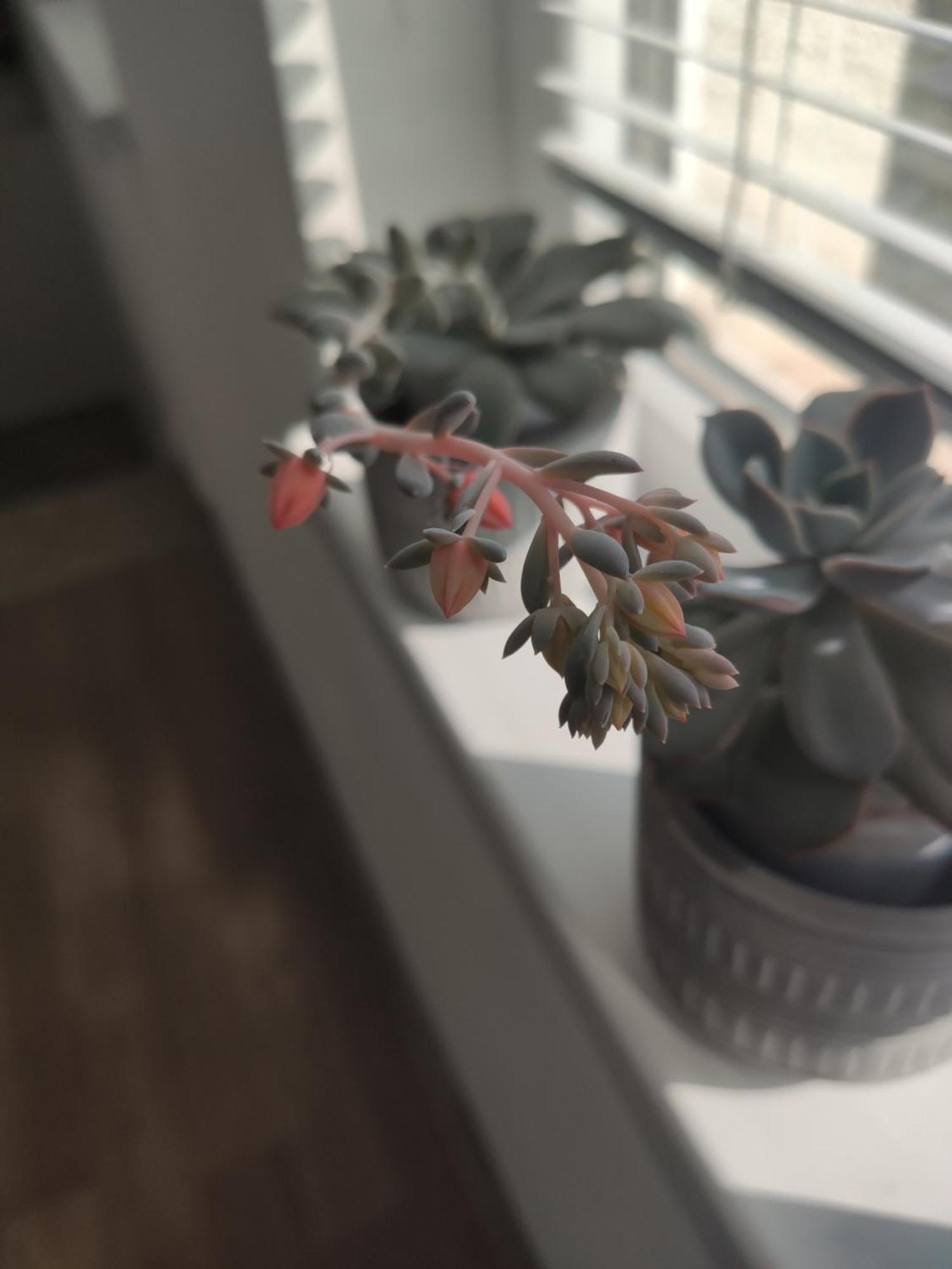 Family Нotel Banuri 쿠타이시 외부 사진